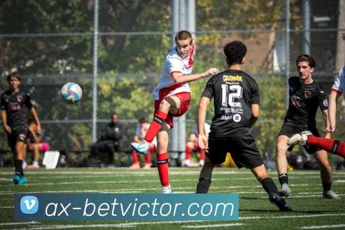 betvictor伟德官网APP 体育赛事宣传图